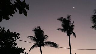 Purple skies
