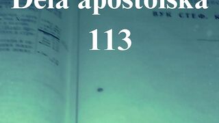 Dela apostolska 113