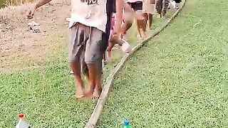 Drink Challenge 2