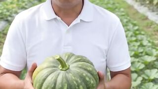 Squash