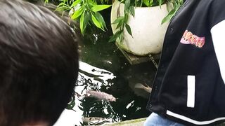 Enjoying Nature’s Beauty & Wildlife Wonders