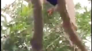 Lebat juga buah rambutan nya