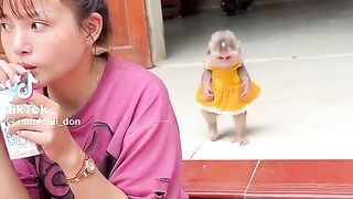 Cute Monkey Baby