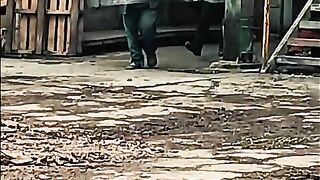 Sawmill Bros..