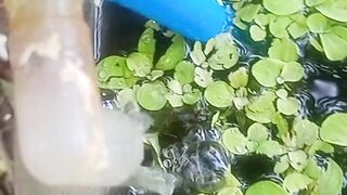 Video air