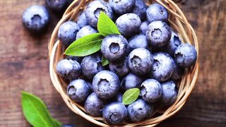 Blueberry. bluberi. Mentigi Biru
