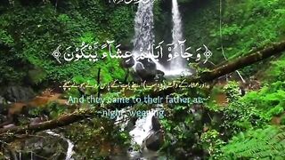 Quran paak Tilawat must watch 8