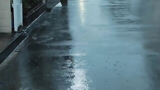 World Rain Walker