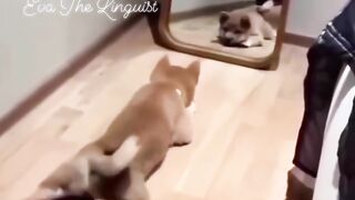 CLASSROOM COMEDY 4