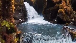 Nature 339