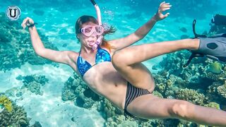 Women Swimwear Underwater Swimming Underwater Adventures