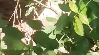 Nature 340