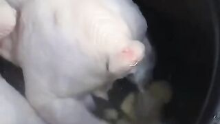What is that???🤣🤯 LOL funny