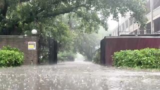 University of the Punjab