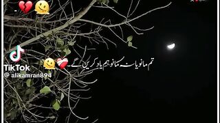 Sad shairi 18