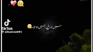 Sad shairi 19