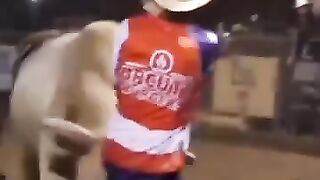 Bull Riding Competition