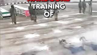 Military Hardcore Training of the World