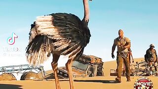 The rock best movie seane