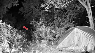 Top 5 Most Terrifying Real-Life Ghost Sightings Ever Captured