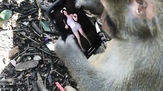 Caught Watching a Beautiful Girl’s Video 😅