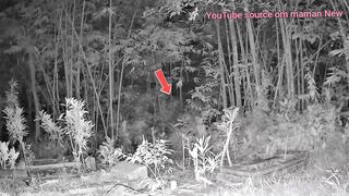 Top 5 Terrifying Flying Ghost Sightings Captured Clear on Camera During Horror Camping Trips