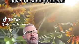 Justforlaughs