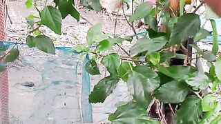 খুব সুন্দর ফুল