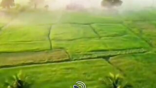 The richest man in the village. part 1