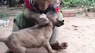 Play mates forever