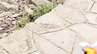 Naughty monkey 3