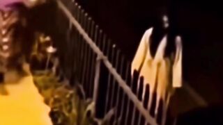 Funny videos??????????
