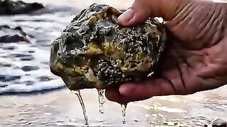 Salt water gold