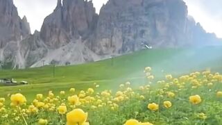 Beautiful nature 350