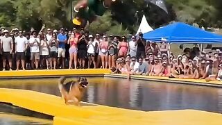Blindfolded stunt man