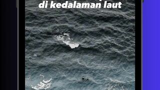 Penghuni Laut Dalam yang Bikin Kagum 🥹🌊