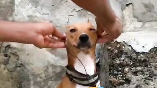 😃😄😄😄😄