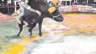 The bullfighter got played by the bull, lol.