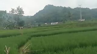 Going for a trip to the mountains