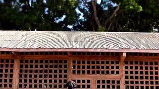Dance vidéo by Farid