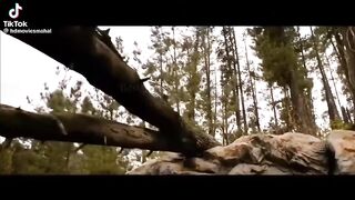 Jungle movie 2