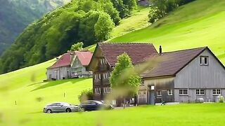 Swiss Nature
