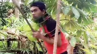 Di kirain buah mangga yang jatuh