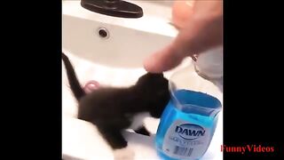 😂 Impossible de Regarder Ça Sans Rire !