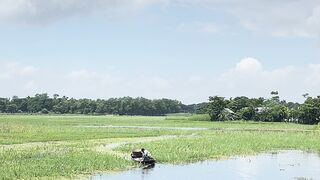 Peaceful Rural Wetland Landscape with Small Boat and Cloudy Sky