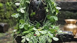 सावन मे बिल्व पत्र से शिव पूजन