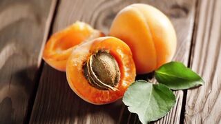 Aprikot. Apricot