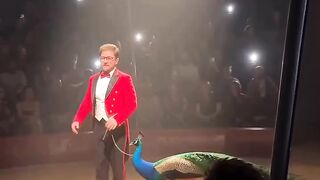 World Best Magic Show in Universe