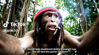 Rasta monkey