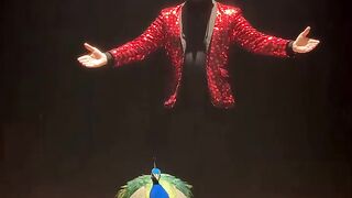 Magical peacock Show